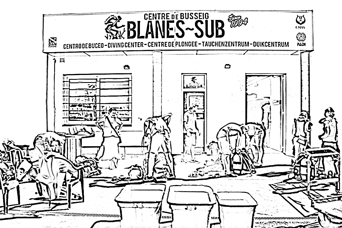 https://www.blanes-sub.com/wp-content/uploads/2019/03/2017.png