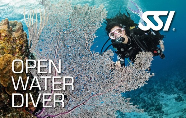 https://www.blanes-sub.com/wp-content/uploads/2019/03/ssiopenwater.jpg