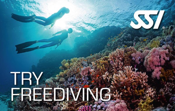https://www.blanes-sub.com/wp-content/uploads/2020/04/try-free-diving-SSI-600x381.jpg