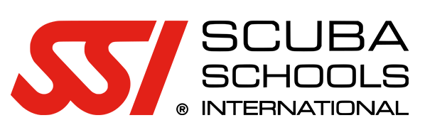 SSI